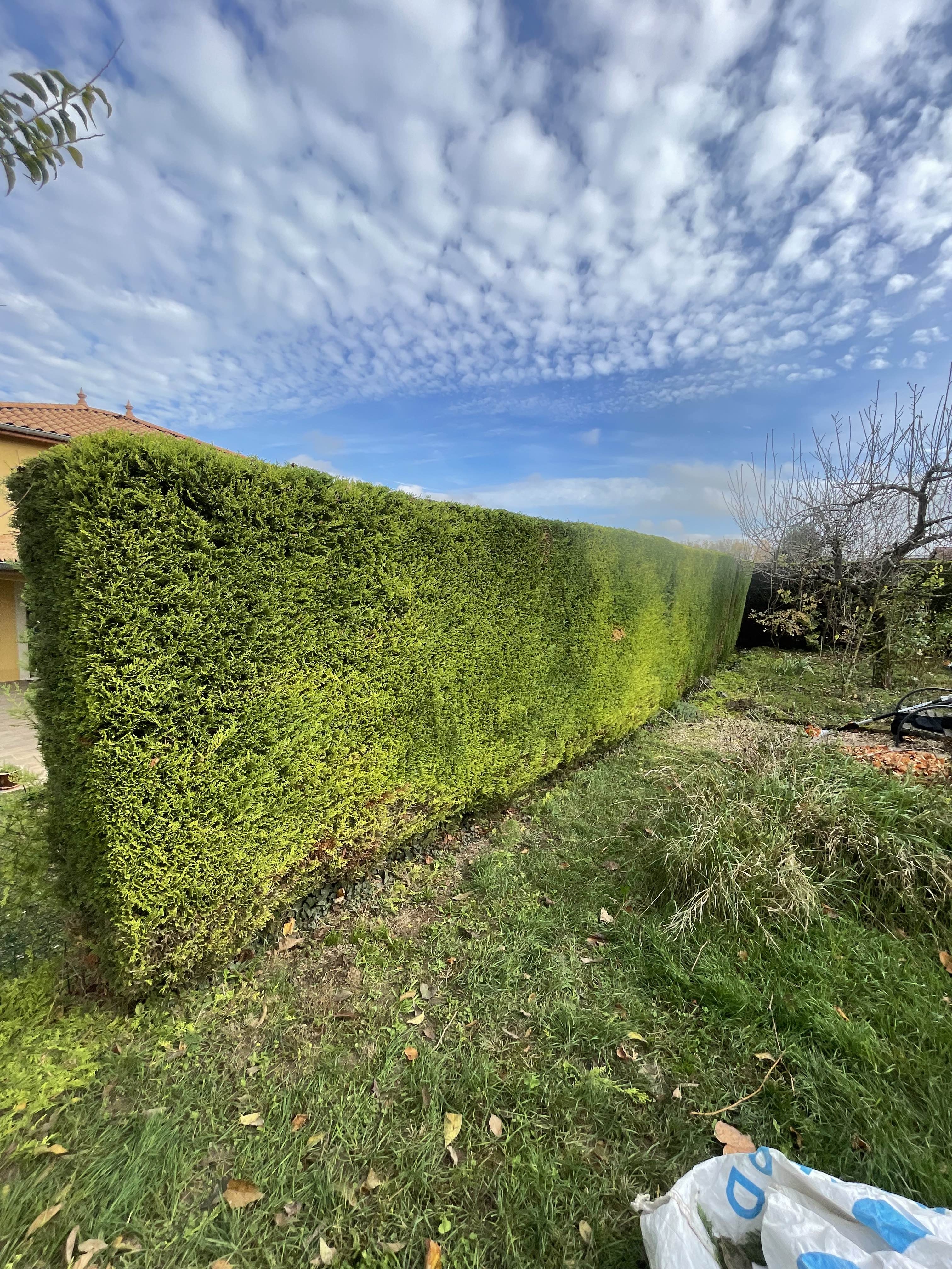 Réalisation KHALFA Paysage